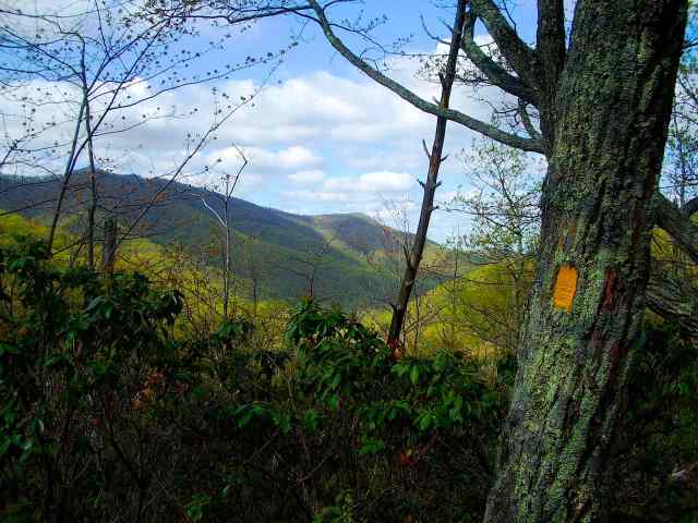 View of the Blue Ridge
