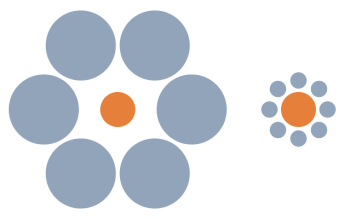 Ebbinghaus illusion
